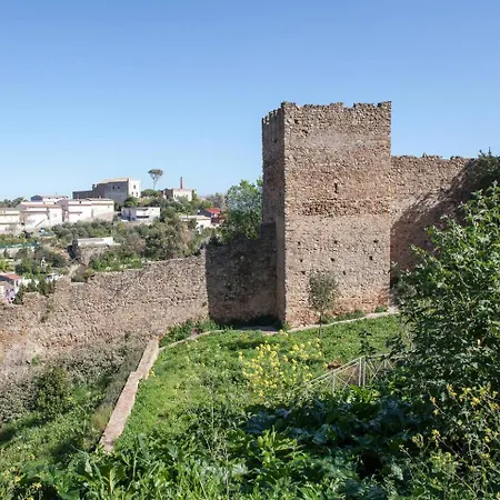 - Domus Nettuno *