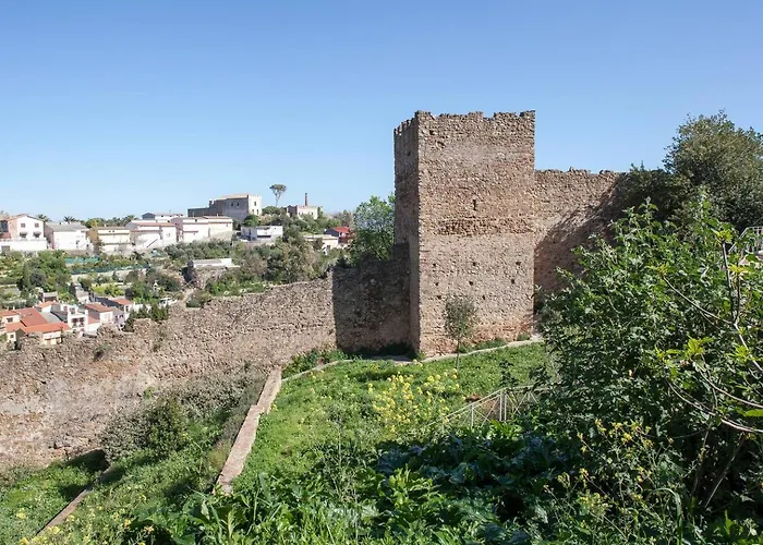 - Domus Nettuno *